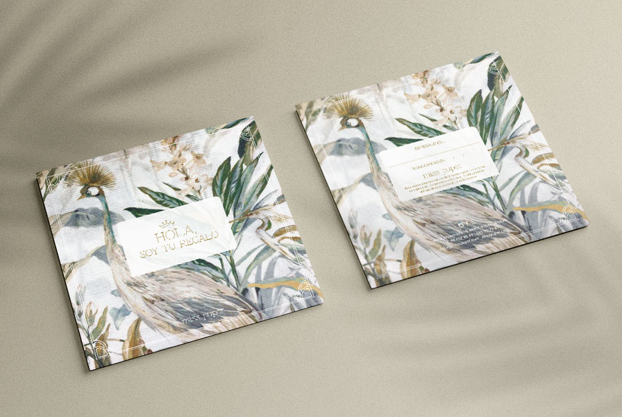 Diseño de tarjeta regalo-Branding Miss Pupet Bilbao