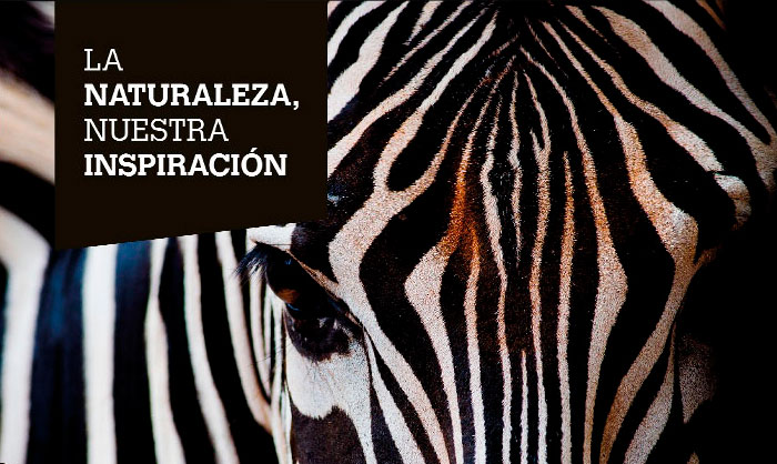 Gráficas y publicidad - Dibal. Línea gráfica y piezas publicitarias