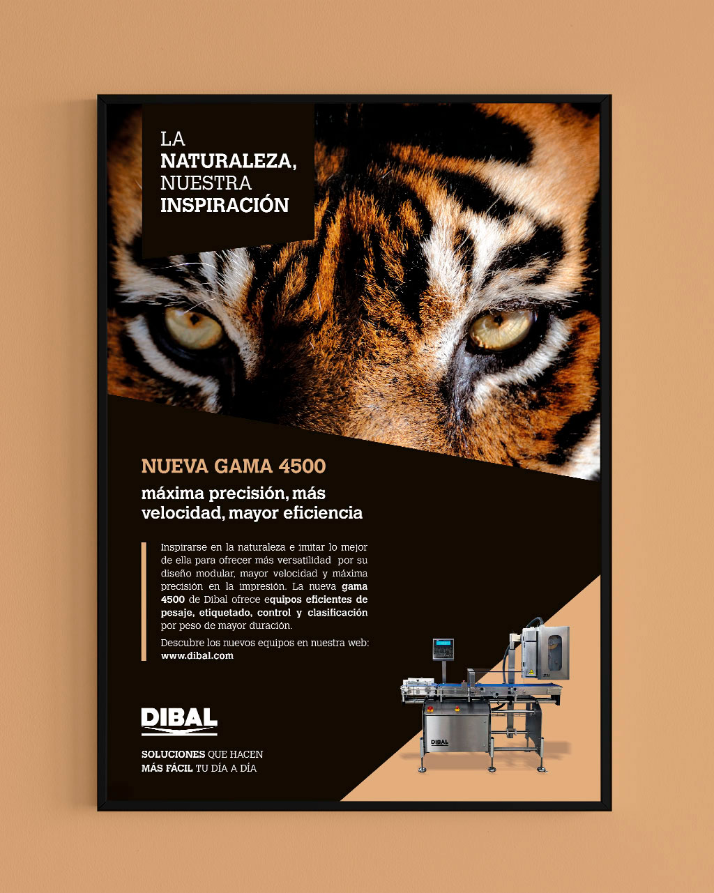 Gráficas y publicidad - Dibal. Línea gráfica naturaleza y aplicación a anuncio tigre